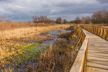 A Wooden Walkway In The Kopacki Rit Nature Reserve In Winter In North East Croatia. Located By The Serbian Border, Close To The Confluence Of The Drava And Danube Rivers, It Is One Of The Largest And 
