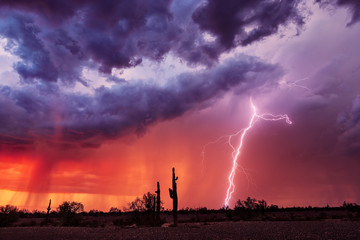 Lightning bolt strikes from a storm at sunset.