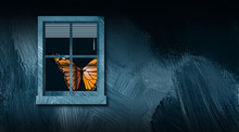 Butterfly From Behind Closed Window Graphic Abstract Background