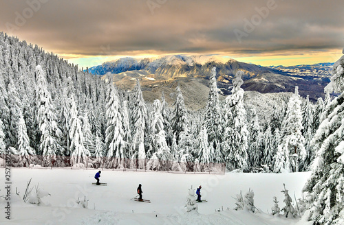 Cuadros en Lienzo Panoramic view over the ski slope Poiana Brasov ski resort in Transylvania, Pine