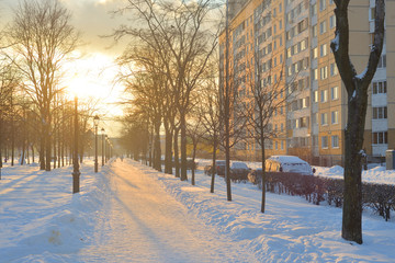 Wall Mural - Alley at winter.