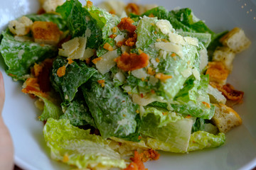 Sticker - Special caesar salad