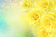 Yellow Roses Flower Soft Romance Background With Beautiful Glitter And Copy Space 