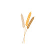 vector illustration of wheat, rye or barley ears whole grain, black silhouette symbol icon isolated on white background.