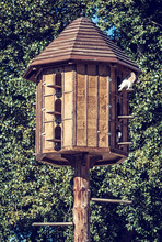 Wooden Dovecote With Pigeons In Forest
