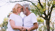 © calcassa - Happy old couple smiling in the park