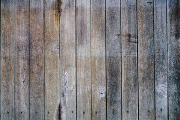 Wall Mural - Old & grunge wood texture background