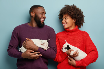 Horizontal view of cheerful couple in love have walk together with their puppies, look happily at each other, have dark skin, isolated over blue background. Positive human emotions, animals concept