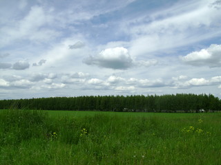 green field and blue sky