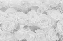 Beautiful White Decoration Artificial Fabric Rose Flower Background For Valentine Day Or Wedding Card.