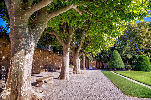 Fototapeta park path-in-the-park-with-old-sycamore-platan-trees-in-a-sunny-summer-day-city-of-aix-en-provence-france-provence-copy-space-travel-france