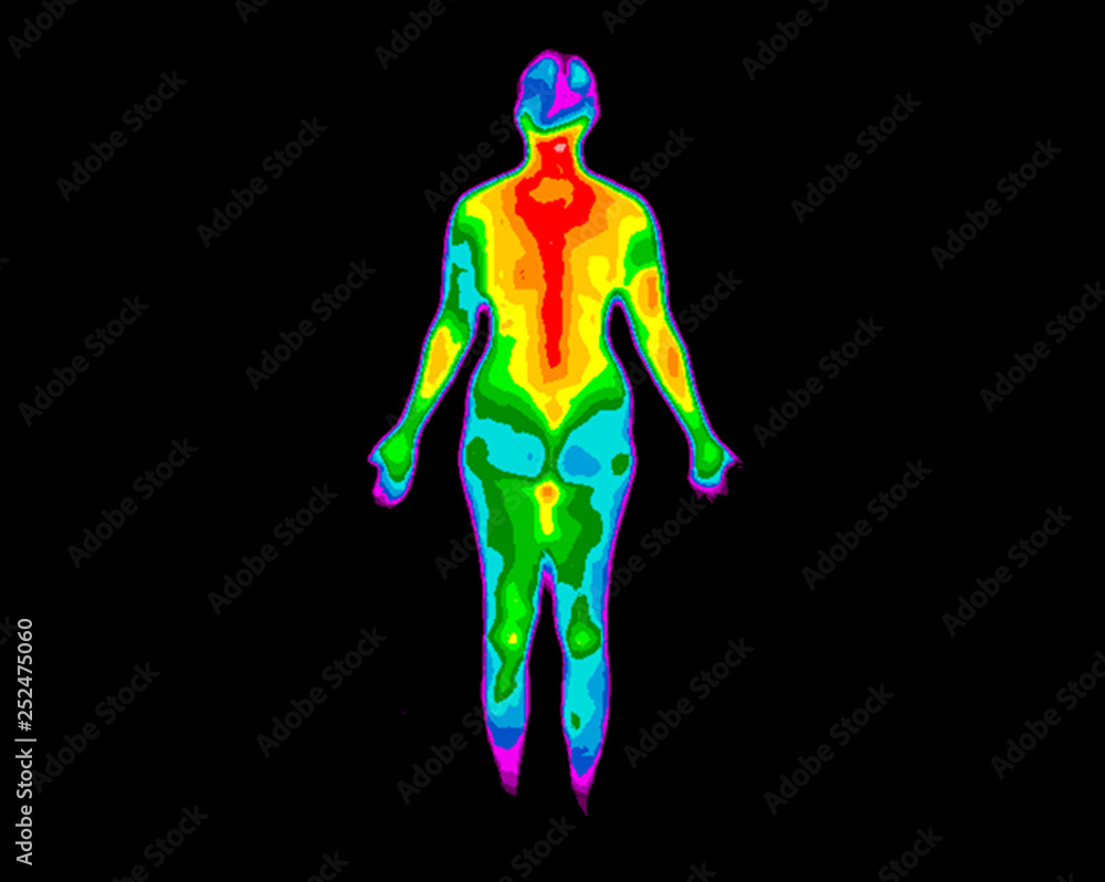Thermographic photo of the back of the whole body of a woman with the photo showing different temperatures in a range of colors from blue showing cold to red showing hot, can be joint inflammation - obrazy, fototapety, plakaty 