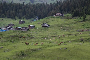 magnificent wallpaper and landscapes artvin savsat