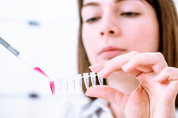 Canvas Print - Young woman fill PCR microtubes with dispenser