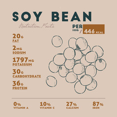 Wall Mural - Nutrition facts of Soy bean, hand draw sketch vector.