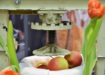 Applesauce being made using a steel strainer