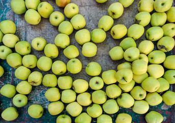 green apples top view