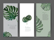 Branding Packageing leaf nature background, logo banner voucher, spring summer tropical, vector illustration