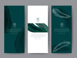Branding Packaging tropical plant leaf summer pattern background, for spa resort luxury hotel, logo banner voucher, fabric pattern, organic texture. vector illustration.