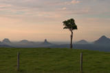 Fototapeta Na ścianę - One Tree Hill at Sunrise, Australia