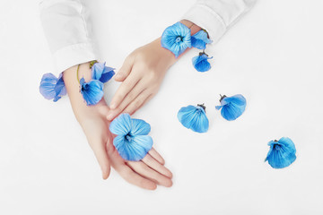 Wall Mural - Hand and spring blue flower are on table skincare. Nature Cosmetics for hand skin care, a means to reduce wrinkles on hands, moisturizing. Natural cosmetics from flower extract, beauty and fashion