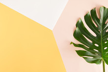 Tropical Palm Monstera Leaves On Summer Yellow And Pink Background. Flat Lay, Top View