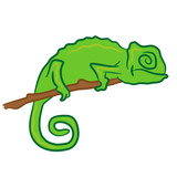 Fototapeta Dinusie - vector drawing sketch lizard reptile chameleon on branch