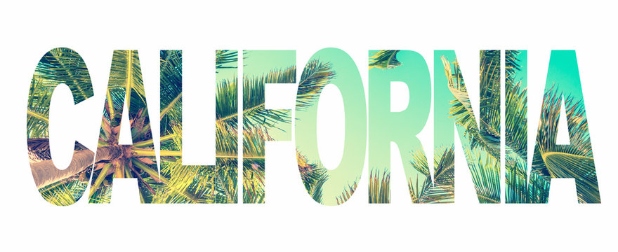 word california with palm trees on white background