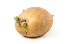 Potatoes With Sprouts