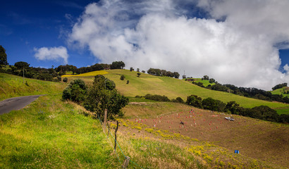 Wall Mural - Fields in Cartago Province, Costa Rica