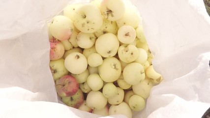 Wall Mural - Bag with fresh apples