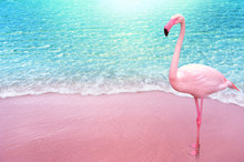 Pink Flamingo Bird Sandy Beach And Soft Blue Ocean Wave Summer Concept Background