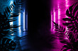 © Laura Сrazy - Background of an empty room with brick walls and neon lights. Silhouettes of tropical leaves, colorful smoke