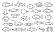 Saltwater fish vector set (Thin line , Outline style)
