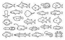Saltwater Fish Vector Set (Thin Line , Outline Style)