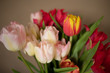 Bukiet kolorowych tulipanów na jasno szarym tle