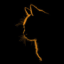 Cat Portrait Silhouette In Contrast Backlight. Vector. Illustration.