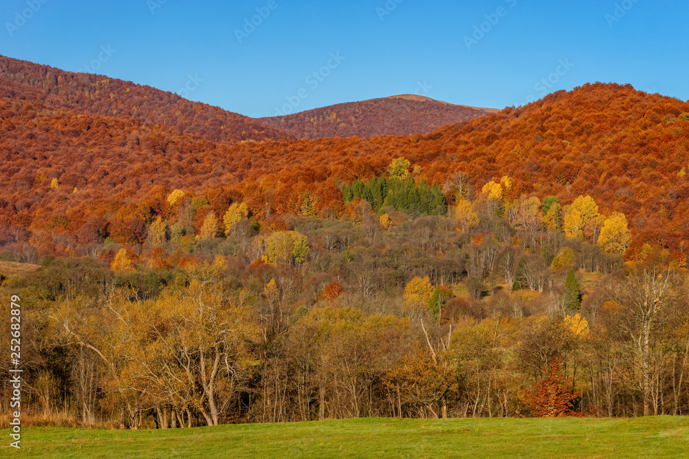 Bieszczady. Piękny krajobraz górski jesienią - obrazy, fototapety, plakaty 