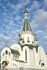 Wall Mural - Fragment of the temple of the Saint blessed grand duke Alexander Nevsky in the sunny day. Kaliningrad