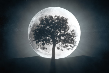 3d illustration of tree against the background of a full moon and a rotating universe around