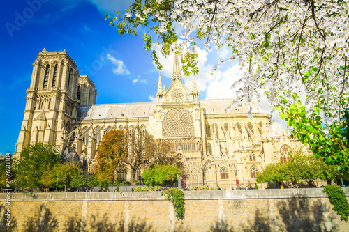 Plakat Katedra Notre Dame, Paryż Francja