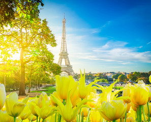 Wall Mural - eiffel tour and from Trocadero, Paris