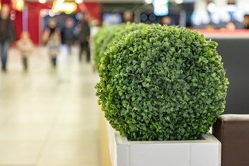 Decoration with artificial plants
