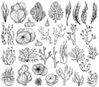 Set of marine hand drawn corals. Black and white