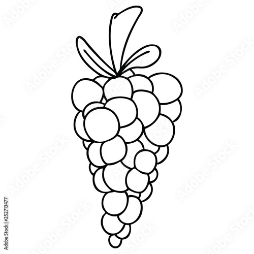 Quirky Line Drawing Cartoon Bunch Of Grapes Buy This Stock Vector And Explore Similar Vectors At Adobe Stock Adobe Stock