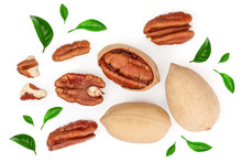 Pecan Nut Isolated On White Background. Top View. Flat Lay