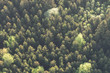 Wald-Landschaft im bayerischen Voralpenland - Luftbild