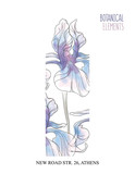 Fototapeta Motyle - Iris hand drawn illustration. Floral decoration, beautiful wedding bloom card. Graphic banner with watercolor iris plants, summer pastel decoration.