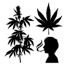 Silhouettes Of Hemp. Smoking Person. Cannabis Leaf. Vector Marijuana Twig