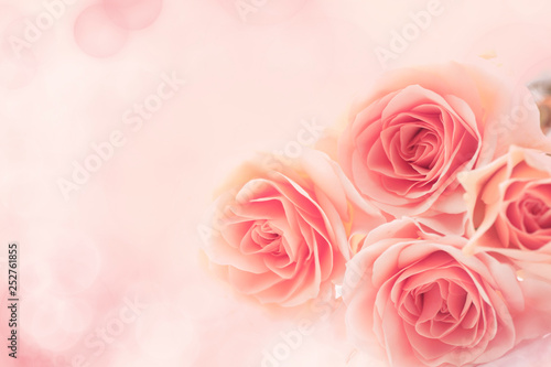 Plakat róże   piekny-kwiatowy-tlo-roz